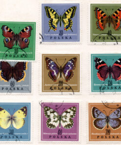 Polônia - 1967 - STW-1792-1800 - Butterflies (9 selos)-0