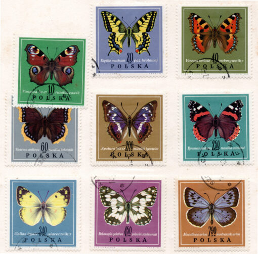 Polônia - 1967 - STW-1792-1800 - Butterflies (9 selos)-0