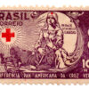 Brasil - 1935 - C-88 - 1935 The Third Pan American Congress Red Cross Conference - 3ª Conferência Panamericana da Cruz Vermelha - Mint-0