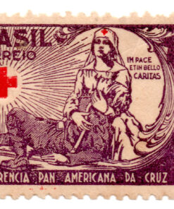 Brasil - 1935 - C-88 - 1935 The Third Pan American Congress Red Cross Conference - 3ª Conferência Panamericana da Cruz Vermelha - Mint-0