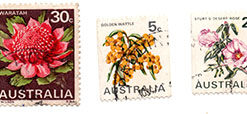 Conjunto 3 selos - Flores - Austrália
