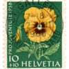 Helvetia Suica