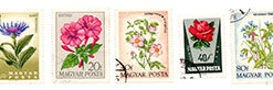 Conjunto 5 selos - Flores - Hungria