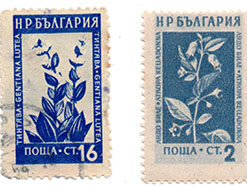 Flowers - (conjunto 2 selos)