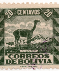 1939 - Animais - Lama vicugna