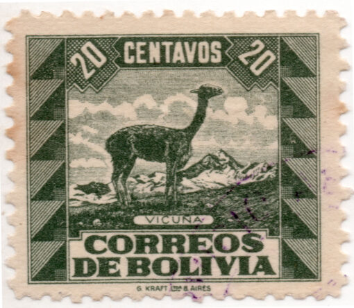 1939 - Animais - Lama vicugna