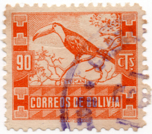 1939 - Animais - Ramphastos toco