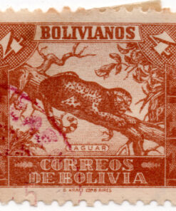 1939 - Animais - Panthera onca