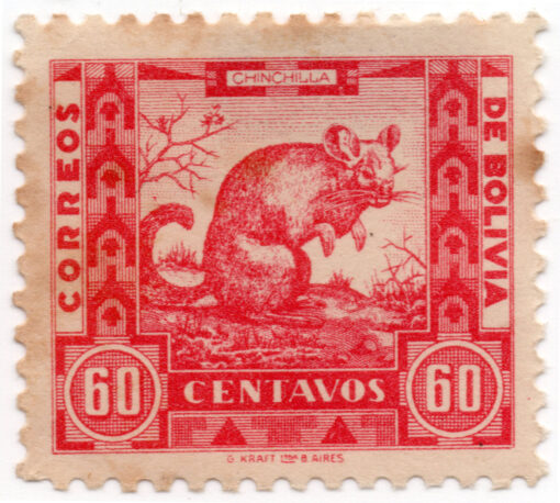 1939 - Animais - Chinchilla laniger