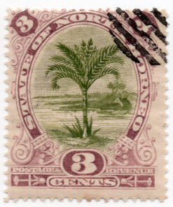 1894 - Metroxylon rumphii