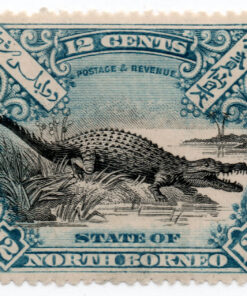 1897 - Crocodylus porosus