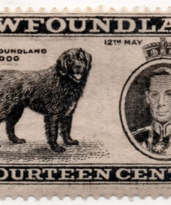 1937 -  Coroação do Rei George VI - (Selo Novo)