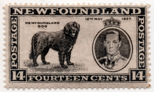 1937 - Coroação do Rei George VI