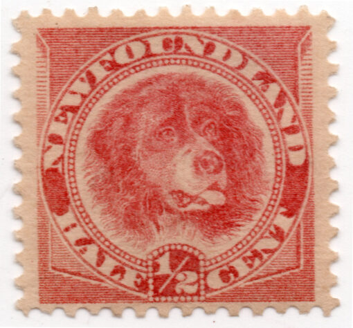 1887 - Cachorro
