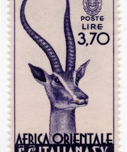 1938 - Antelope