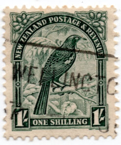 Second Pictorials - Prosthemadera novaeseelandiae