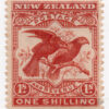 Nova Zelandia Y 80