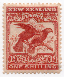 Birds & Landscapes - Nestor meridionalis and Nestor notabilis