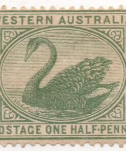 Black Swan & Queen Victoria - New Watermark