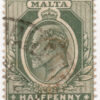 Malta Y 43