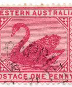 Black Swan - New Watermark (1898 -1907)